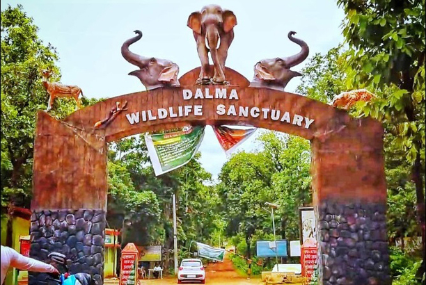 Dalma Sanctuary